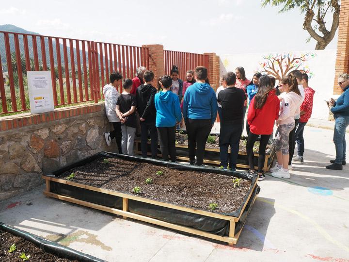 FatimaElBojar 10 HuertoEscolar Cepaim LaEstacion 2019