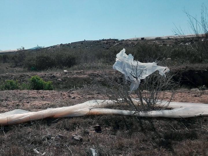 ManifiestoVidaLimpia 2 Nijar marzo2019