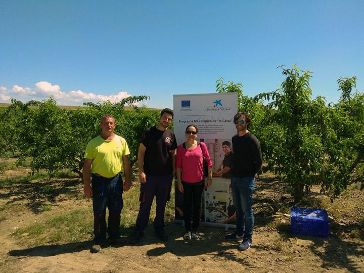 Merida 2 MasEmpleo ContratacionesFruta 2019