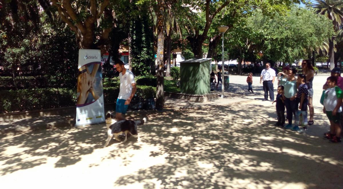 Navalmoral Adelante 1 ProyectoEscán TerapiaAsistida VdG junio2019