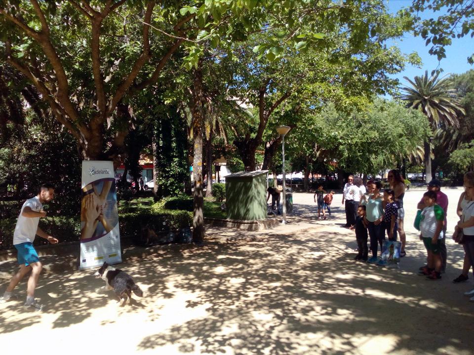 Navalmoral Adelante 3 ProyectoEscán TerapiaAsistida VdG junio2019