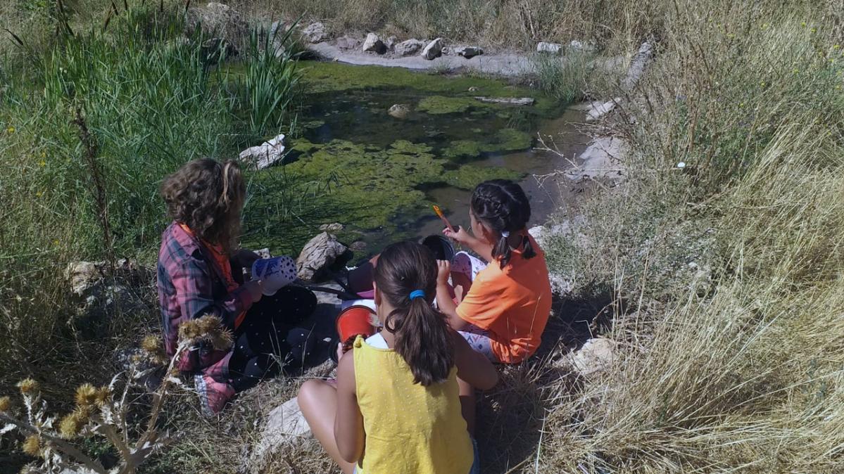 MolinaDeAragon HuertoComunitario 5 Varias actividades2019