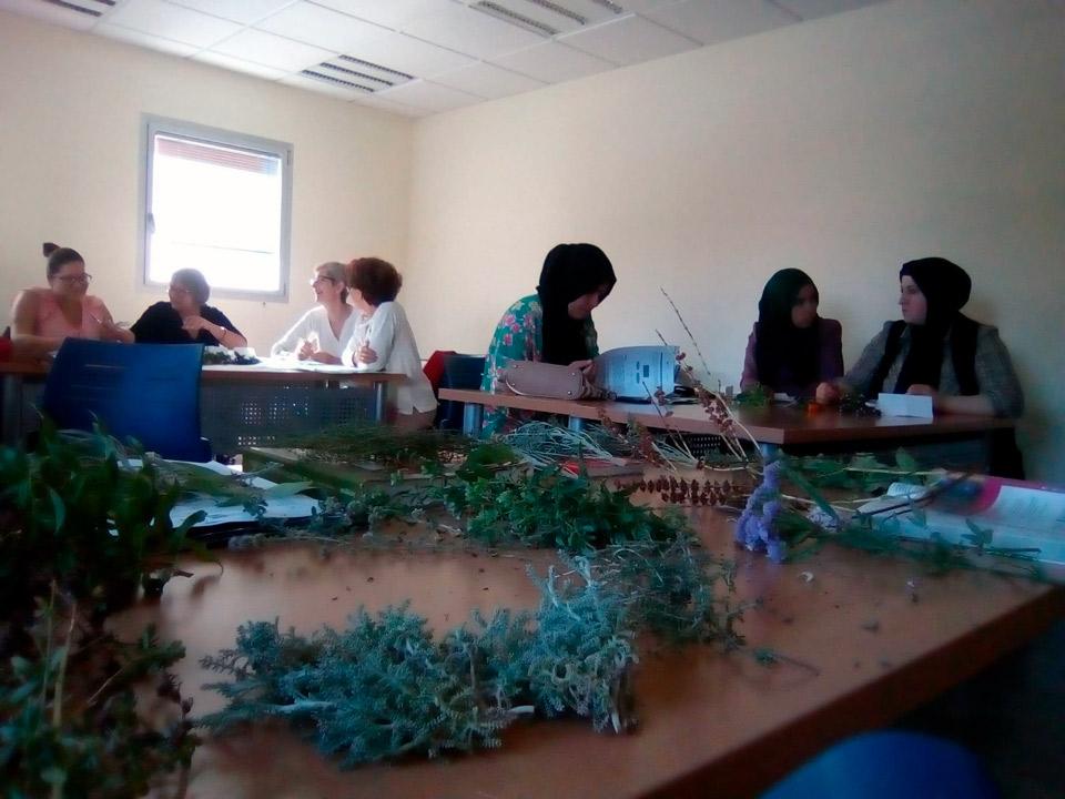 Lorca NuevosSenderos octubre2019 3 3 MODULO DE CULTIVO Y TRANSFORMACIÓN DE PLANTAS AROMÁTICAS