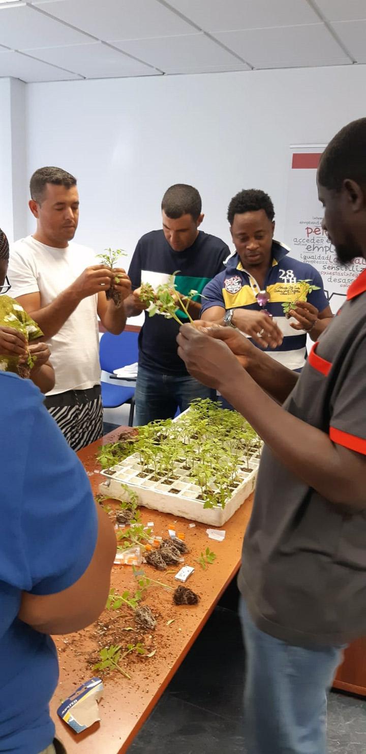 Roquetas RedDeCentros 6 SmartAgro 2019