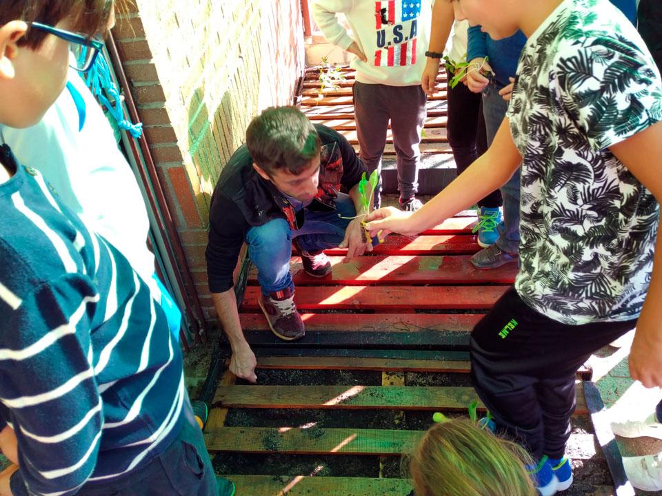 Navalmoral TierraSana 2 ODS HuertoEscolar 2019