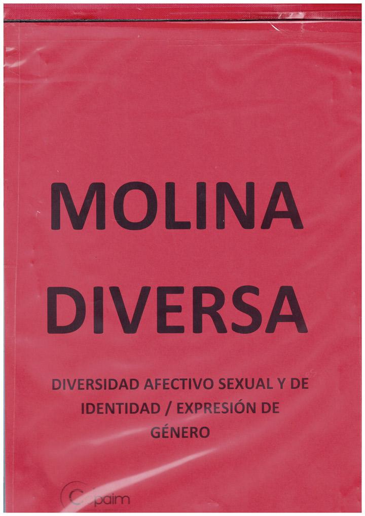 MolinaDiversa 3 2020