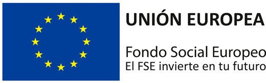 web 2017 logo FSE horizontal