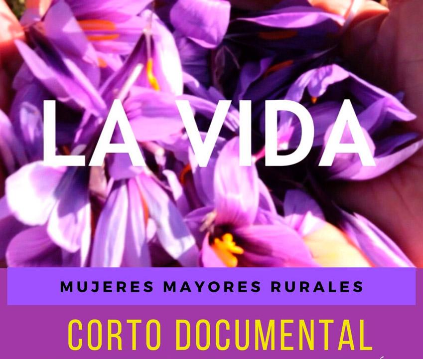 web Cartel GiraLaVida MolinaDeAragón