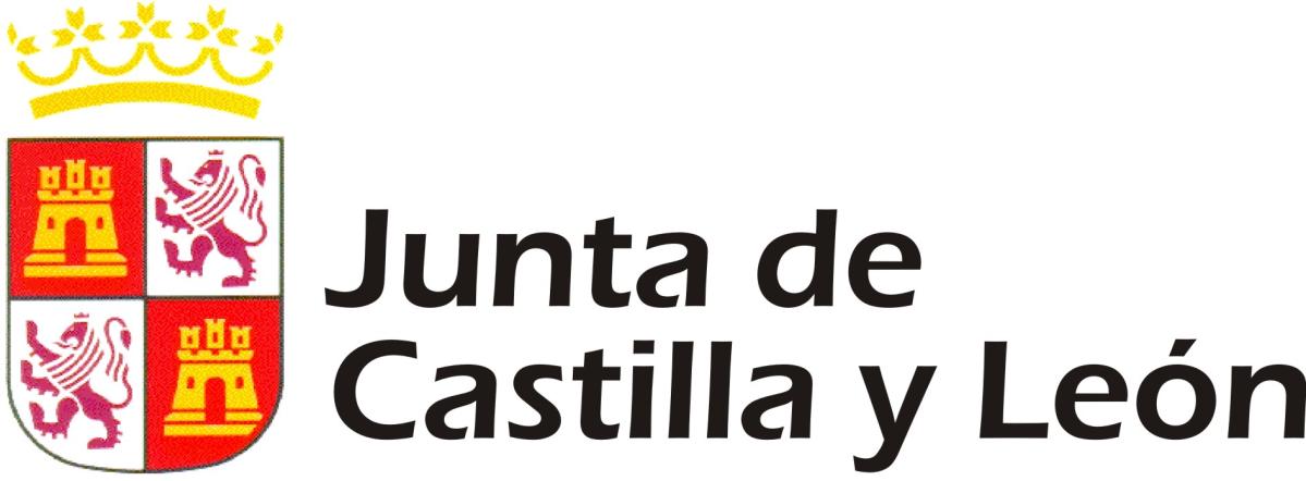 Junta Castilla y León