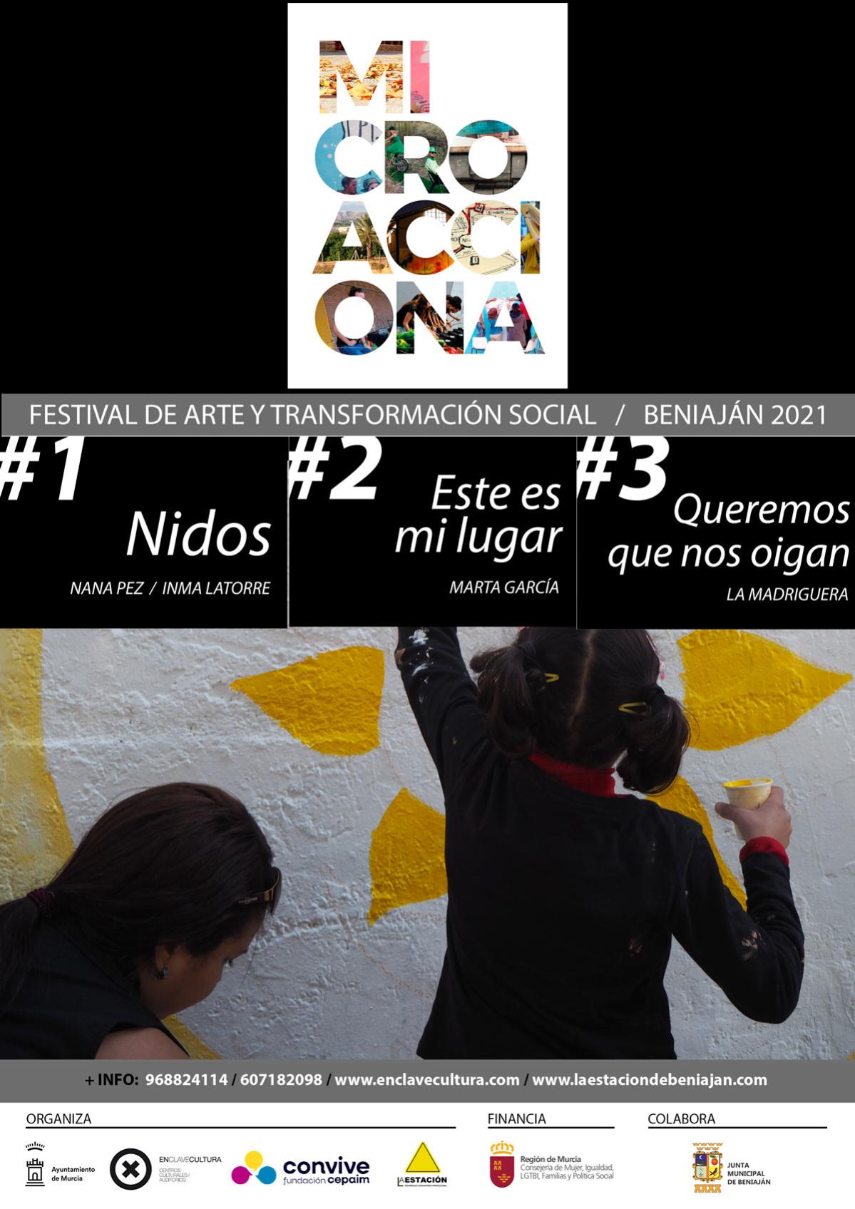 web v2 CARTEL MICROACCIONA General