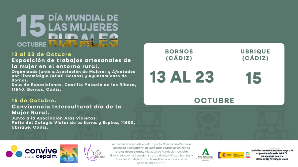 Copia de PLANTILLA 15 O (6)