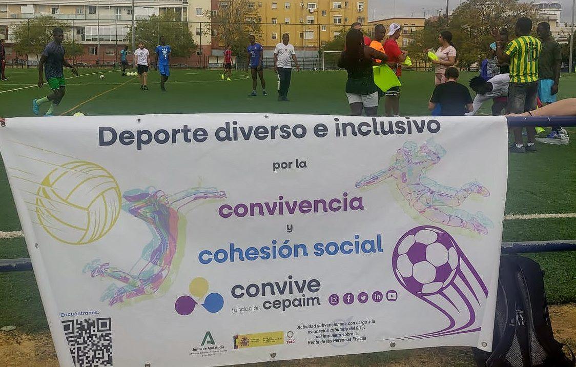 Organización de los equipos