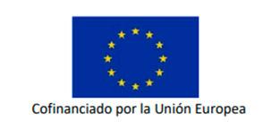 Logo FSE+