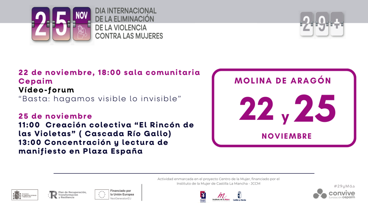 Copia de PLANTILLA 25N 23